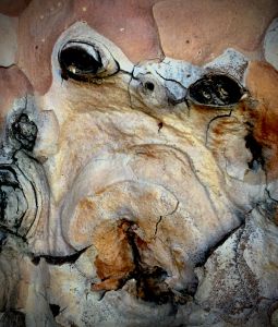 IMG_2249 (1).jpg
