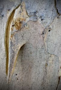 IMG_7845.jpg